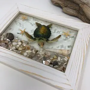 Sea Turtle Wall Decor