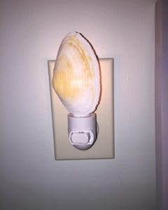 one sea shell night light