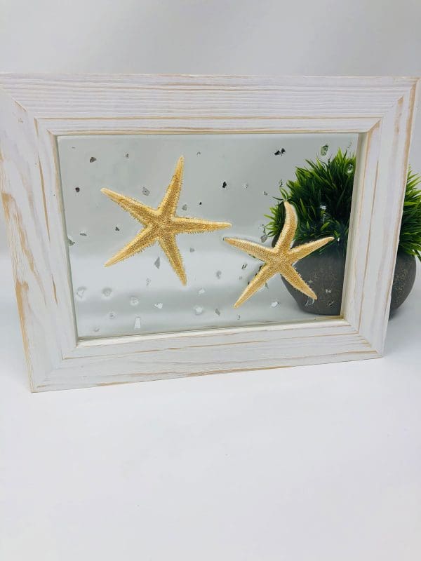 starfish resin wall art with white frame horizontal view