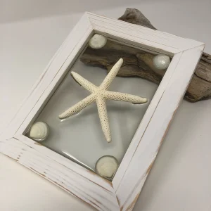 Single White Starfish