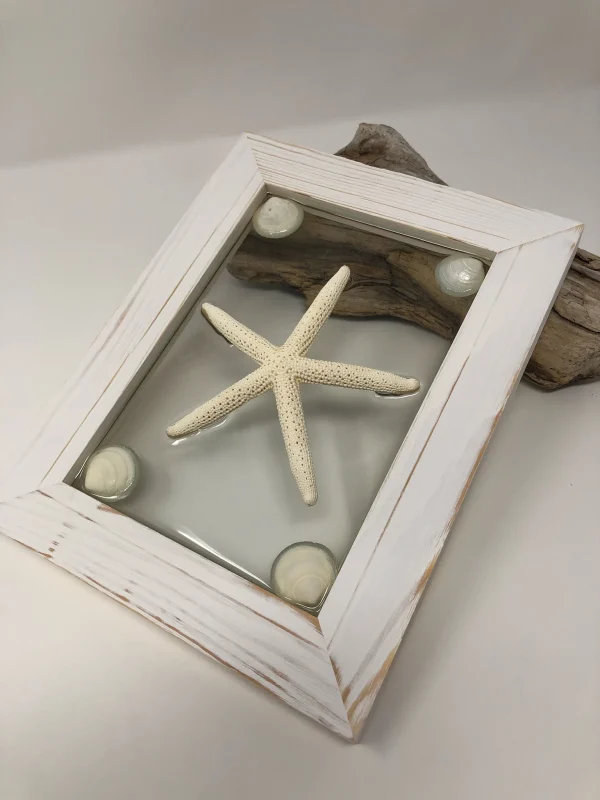 Single White Starfish