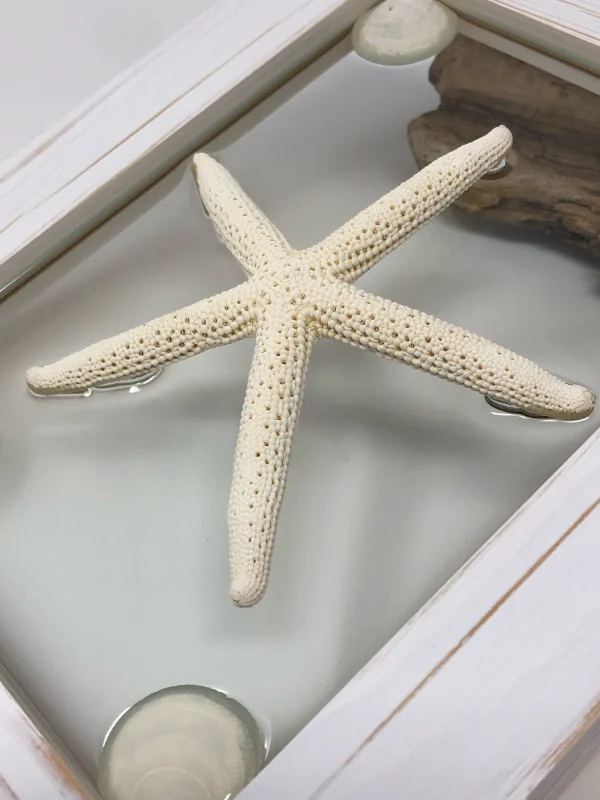 Single White Starfish - Image 8
