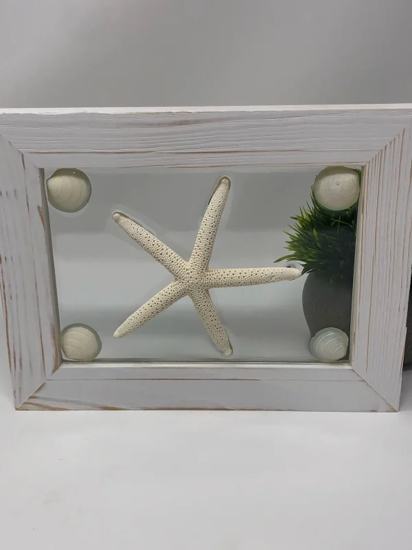 Single White Starfish - Image 6
