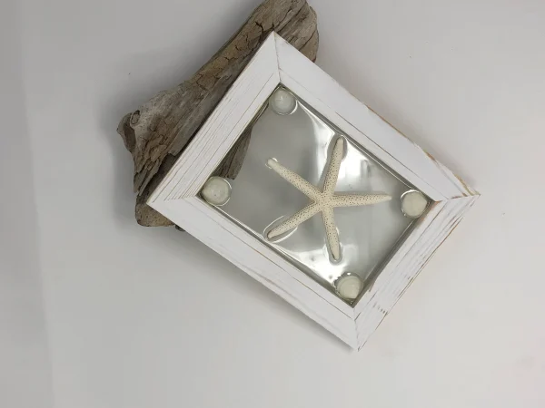 Single White Starfish - Image 5