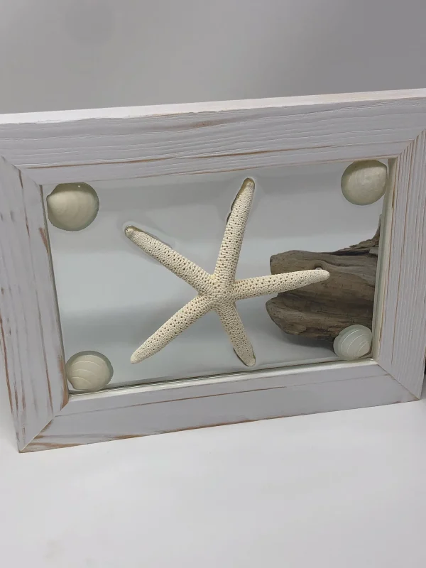 Single White Starfish - Image 4