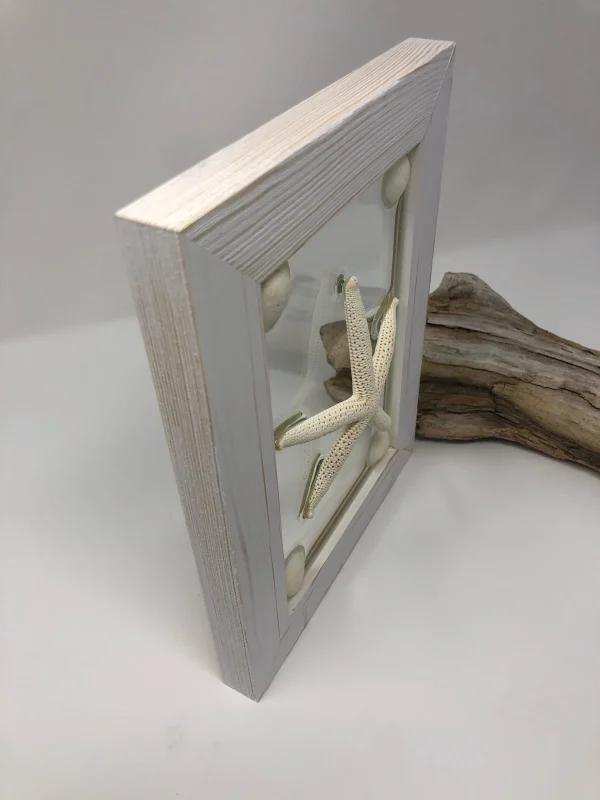 Single White Starfish - Image 3