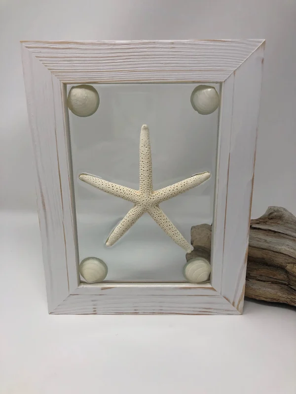 Single White Starfish - Image 2
